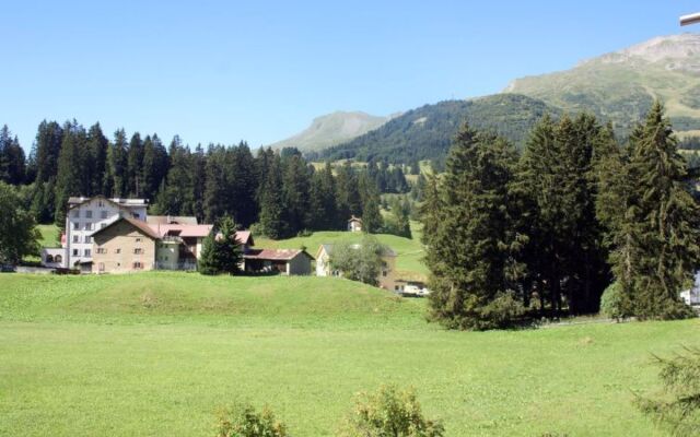 Triangel A Freund/Tryba