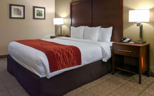 Comfort Inn Marrero - New Orleans West