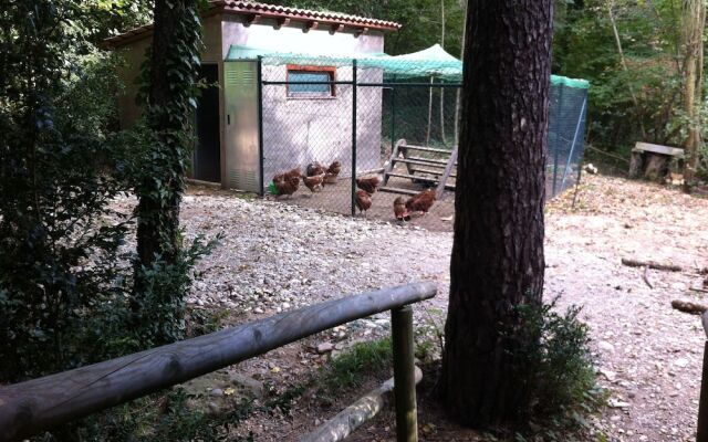 Camping Puigcercós