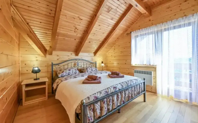 Vineyard Dream Villa in Vinogradi Ludbreski