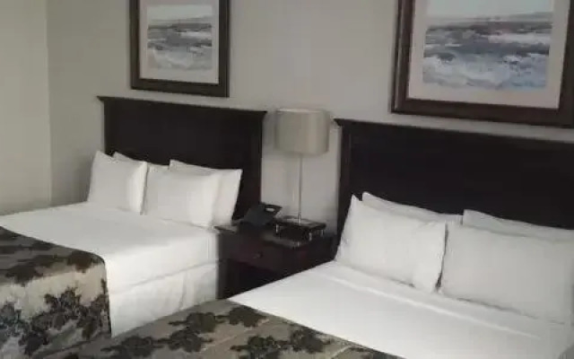 Welkom Inn