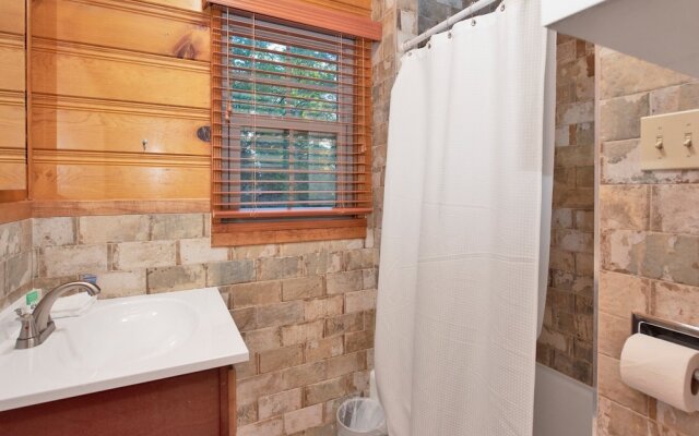 Silvertip Pines #2335