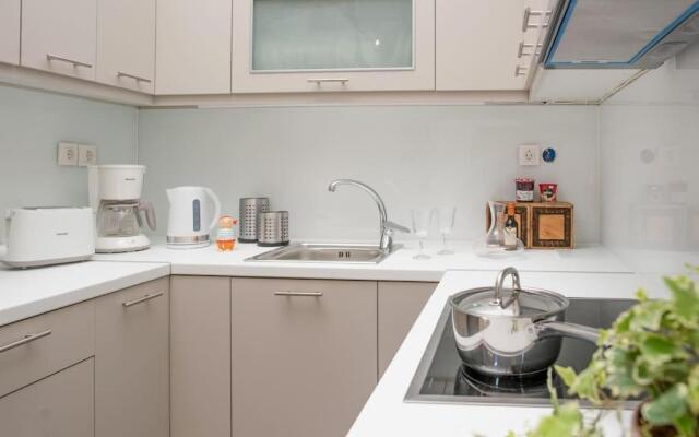 Newly Renovated 1730's Venetian Loft (02) !