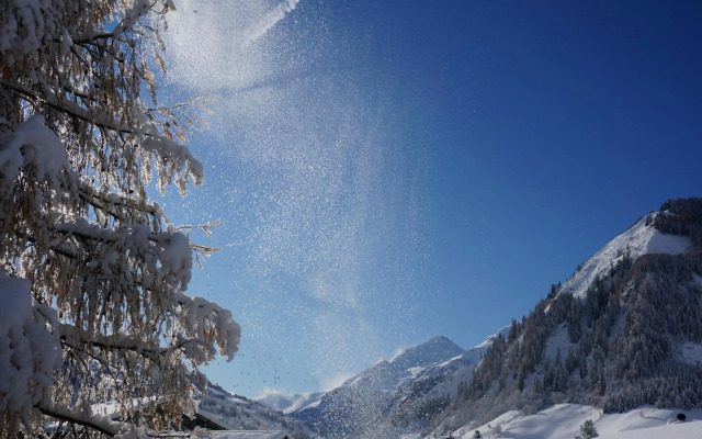 Ritterhof Apartments