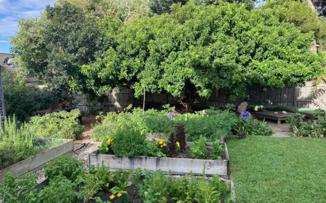 Restful Studio Loft Noordhoek Beach