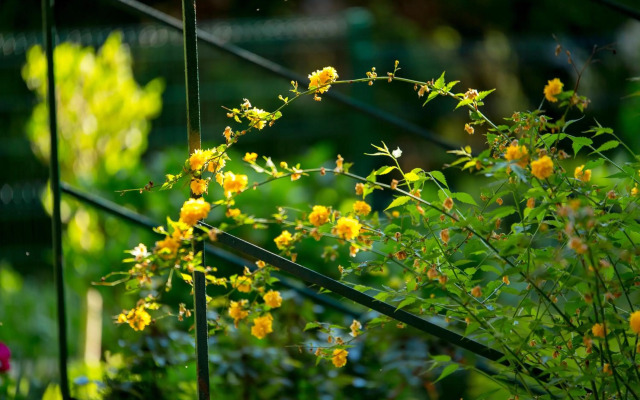 Riki'S Apartment-Zagreb