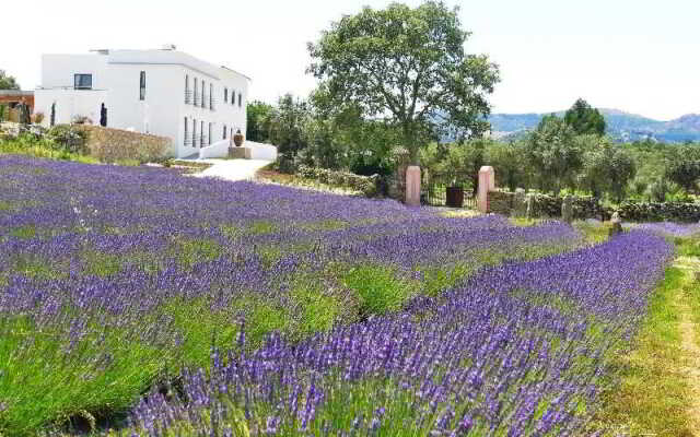 Quinta das Lavandas