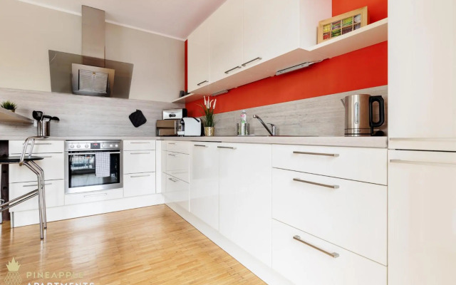 Pineapple Apartments Dresden Zwinger III