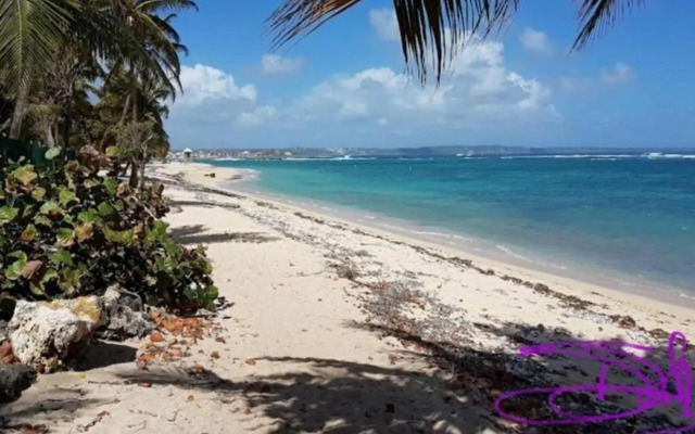 Super Studio en résidence face à la plage