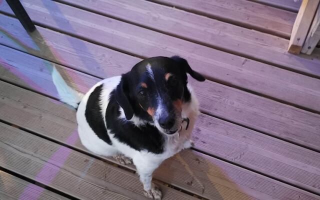 La Centenaire Gruissan