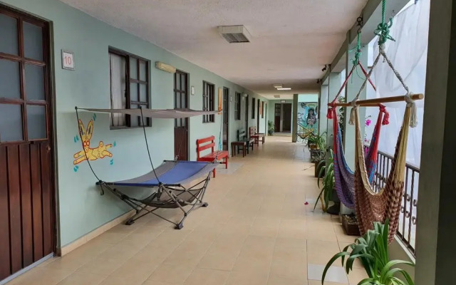 Hierba de Conejo - Hostel