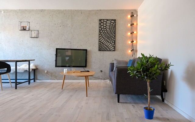 Super Cozy Two-bedroom Apartment in Copenhagen Østerbro