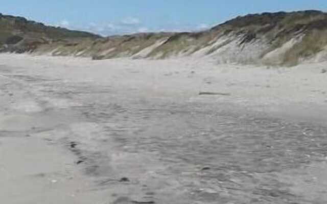 Kea Motel & Holiday Park