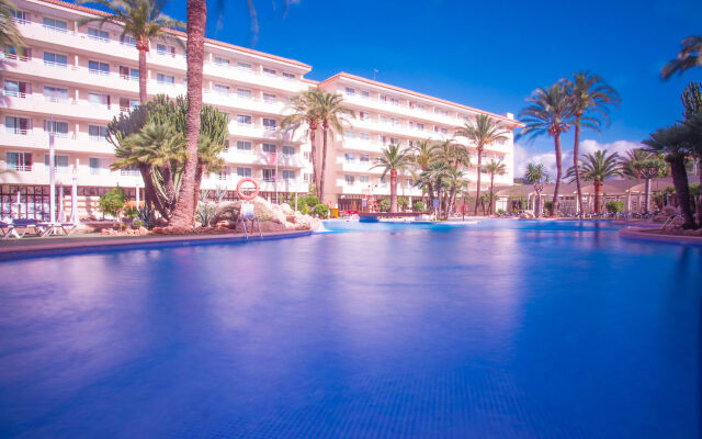 tent Calvia Beach