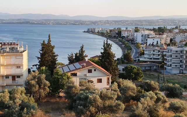 Lefkadi Apartments by the sea