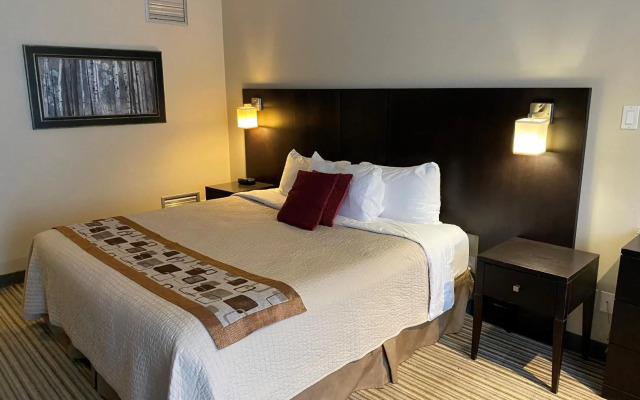 Hôtel Spa Excelsior