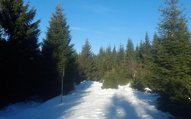 Ubytování - Černá Hora Ii
