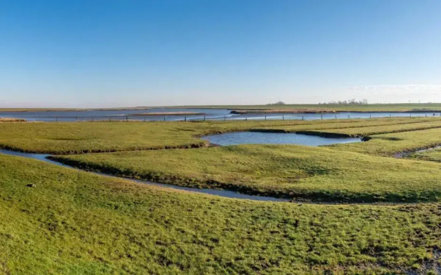 Ferienwohnung-Teekanne