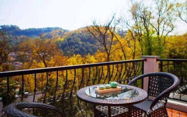 Youshan Courtyard Villa Hotel