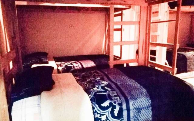 Guest Green - Adults Only - Hostel