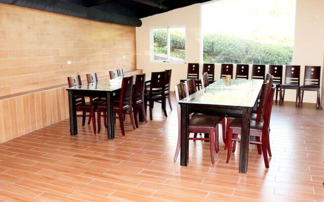 Purple Dragon Star Sky