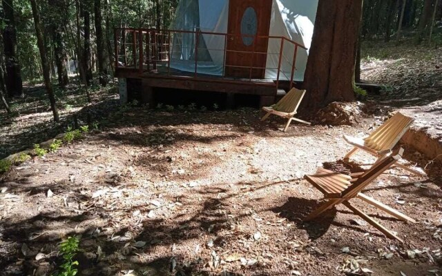 Glamping Don Delfis