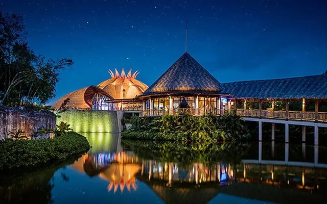 Vida Maya by Dicasi RM