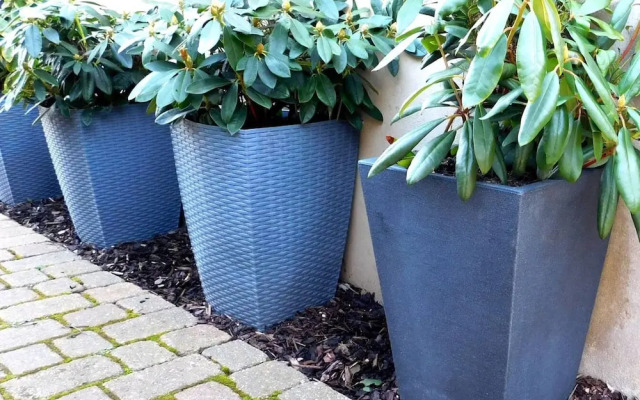 Stay Norwich Apartments 17colgate