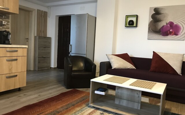 Two Room Apartment Militari Residence M9