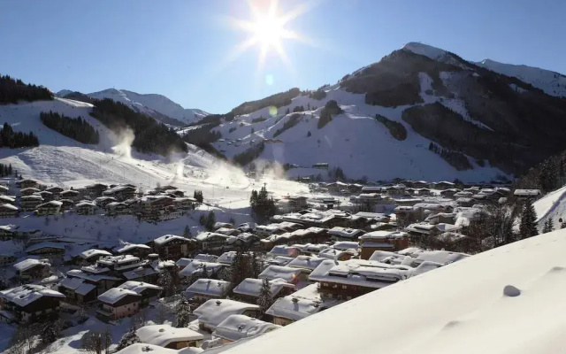 Apartment in the ski Area