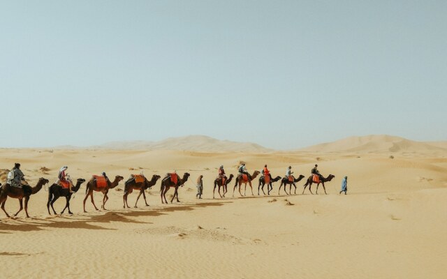 Sahara Royal Camp