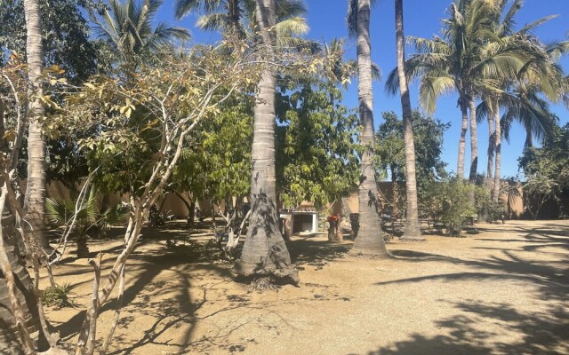 glamping las palmas
