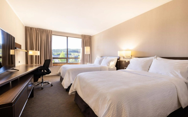 Holiday Inn Express Temuco by IHG