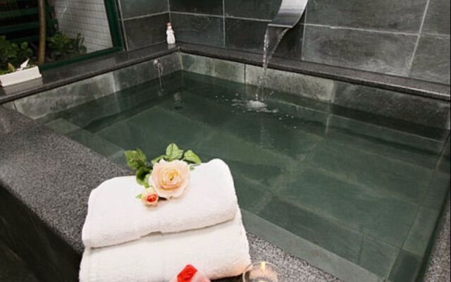 Emma Dora Hotspring B&B-JiaoXi