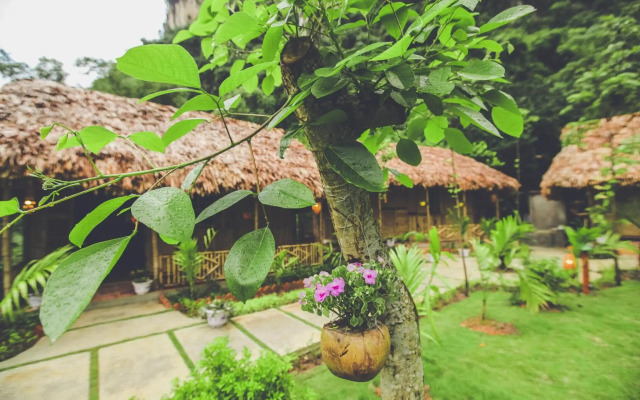 Tam Coc Rice Fields Resort