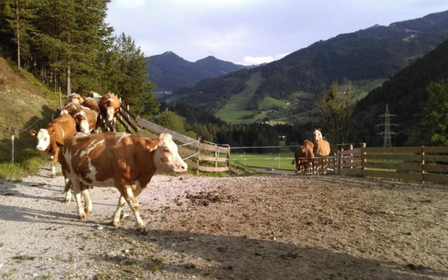 Saumerhof - Fam. Trinker Marion Und Wolfgang