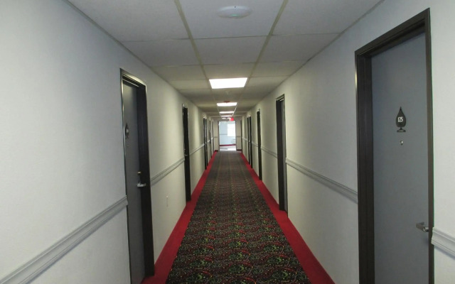 The Vegas Hotel