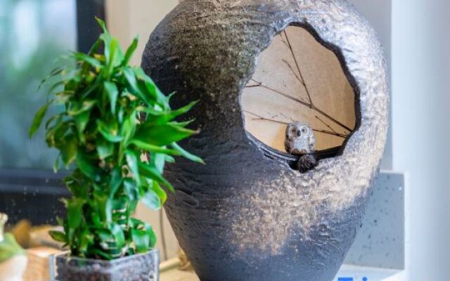 W.D The Dawn Light Moves Gently