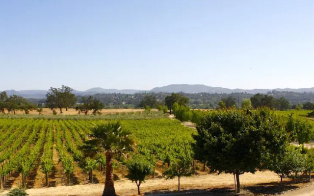 Honey Oak House at Laraneta Vineyards