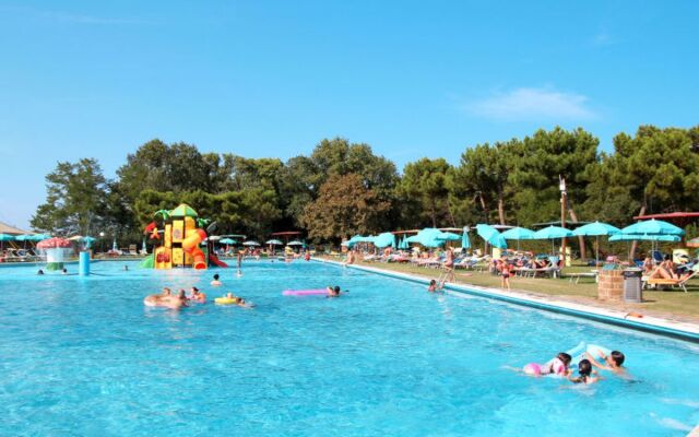 Mare Pineta 42191