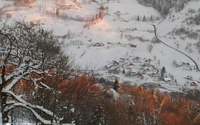 Appartement Maison Vosgienne La Bresse Centre