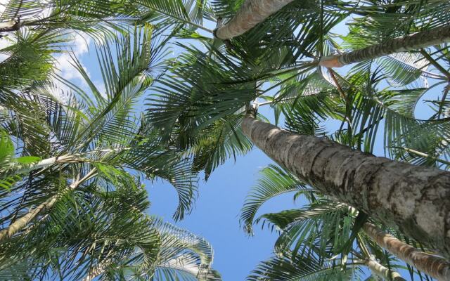 Hotel Albri by Rotamundos