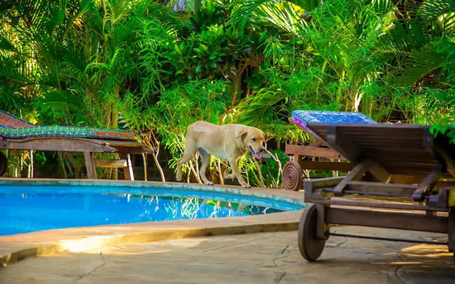 Villakwetu Cottages Diani Beach