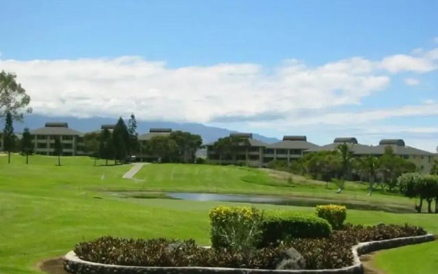 Waikoloa Villa, The House of Heavenly Aloha
