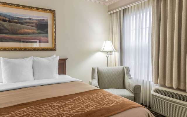 Comfort Inn Plainwell