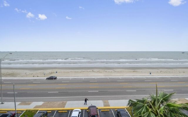 Panorama Palms