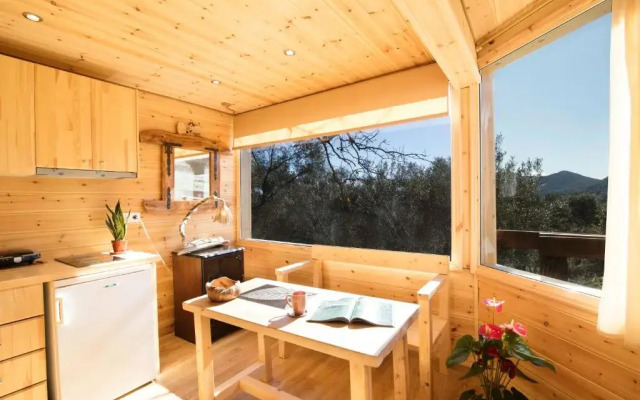 Romantic Tree House