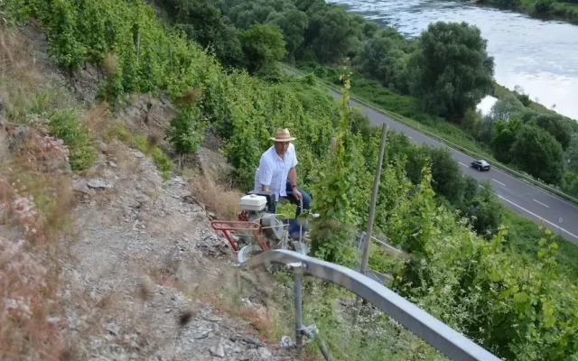 Weingut Pension Gunther Scholtes