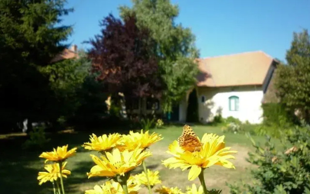 Vadvirágos Pihenőhely