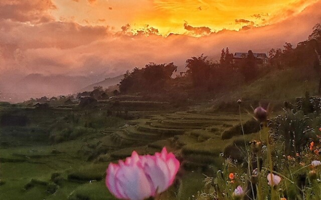Peace Home